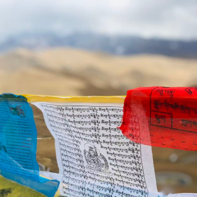 总要去一趟西藏吧